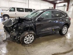 2024 Ford Escape Active for sale in Avon, MN