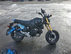 2025 Honda Grom 125 for sale in New Britain, CT