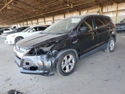 2015 Ford Escape SE for sale in Phoenix, AZ